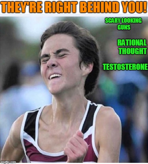I know he's just a puppet but I do jokes so here we are. | THEY'RE RIGHT BEHIND YOU! SCARY LOOKING GUNS; RATIONAL THOUGHT; TESTOSTERONE | image tagged in david hogg | made w/ Imgflip meme maker
