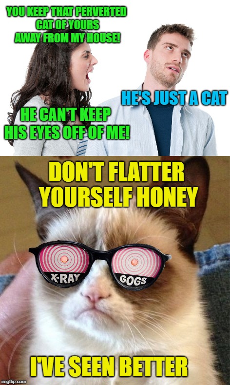 Grumpy Admirer  | YOU KEEP THAT PERVERTED CAT OF YOURS AWAY FROM MY HOUSE! HE'S JUST A CAT; HE CAN'T KEEP HIS EYES OFF OF ME! DON'T FLATTER YOURSELF HONEY; I'VE SEEN BETTER | image tagged in funny memes,grumpy cat,arguing,neighbors | made w/ Imgflip meme maker