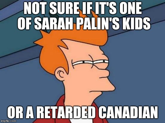 Futurama Fry | NOT SURE IF IT'S ONE OF SARAH PALIN'S KIDS; OR A RETARDED CANADIAN | image tagged in memes,futurama fry | made w/ Imgflip meme maker