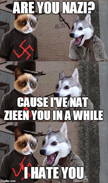 Grumpy Cat and Bad Pun Dog | ARE YOU NAZI? CAUSE I'VE NAT ZIEEN YOU IN A WHILE; I HATE YOU | image tagged in grumpy cat and bad pun dog | made w/ Imgflip meme maker