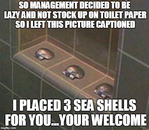 modern problems in the ghetto fast food joint | SO MANAGEMENT DECIDED TO BE LAZY AND NOT STOCK UP ON TOILET PAPER SO I LEFT THIS PICTURE CAPTIONED; I PLACED 3 SEA SHELLS FOR YOU...YOUR WELCOME | image tagged in 3 seashells | made w/ Imgflip meme maker