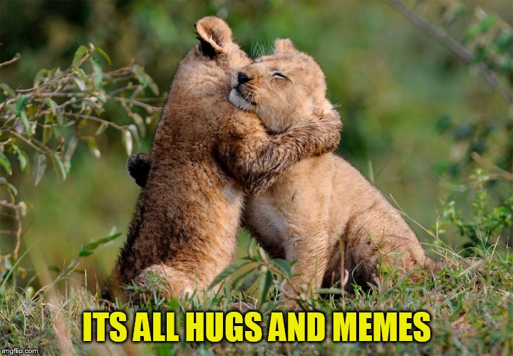 ITS ALL HUGS AND MEMES | made w/ Imgflip meme maker