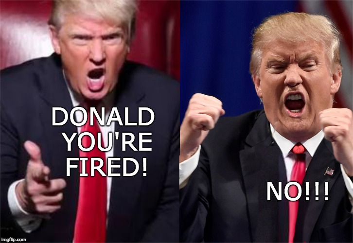 Donald to Donald - You're Fired! | DONALD YOU'RE FIRED! NO!!! | image tagged in donald to donald you are fired,trump,you're fired,fired,donald trump approves | made w/ Imgflip meme maker
