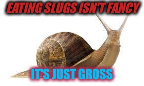 SNAIL | EATING SLUGS ISN'T FANCY; IT'S JUST GROSS | image tagged in snail | made w/ Imgflip meme maker