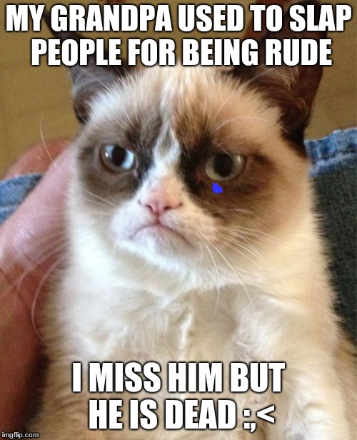 Grumpy Cat Meme | MY GRANDPA USED TO SLAP PEOPLE FOR BEING RUDE; I MISS HIM BUT HE IS DEAD :,< | image tagged in memes,grumpy cat | made w/ Imgflip meme maker