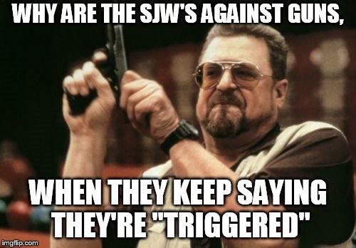 Am I The Only One Around Here Meme | WHY ARE THE SJW'S AGAINST GUNS, WHEN THEY KEEP SAYING THEY'RE "TRIGGERED" | image tagged in memes,am i the only one around here | made w/ Imgflip meme maker