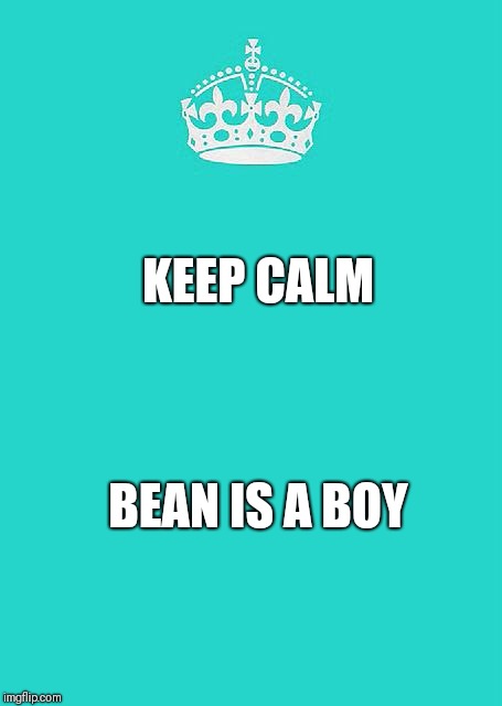 Keep Calm And Carry On Aqua Meme | KEEP CALM; BEAN IS A BOY | image tagged in memes,keep calm and carry on aqua | made w/ Imgflip meme maker