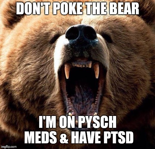 Don't poke the bear  |  DON'T POKE THE BEAR; I'M ON PYSCH MEDS & HAVE PTSD | image tagged in don't poke the bear | made w/ Imgflip meme maker