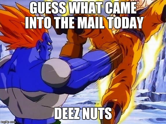 DBZ ANDRIOD 13 PUNCHES GOKU IN DA BALLZ | GUESS WHAT CAME INTO THE MAIL TODAY; DEEZ NUTS | image tagged in dbz andriod 13 punches goku in da ballz | made w/ Imgflip meme maker