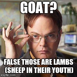 GOAT? FALSE THOSE ARE LAMBS (SHEEP IN THEIR YOUTH) | made w/ Imgflip meme maker