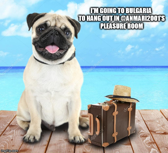 I'M GOING TO BULGARIA TO HANG OUT IN @ANMARI2001'S PLEASURE ROOM | made w/ Imgflip meme maker
