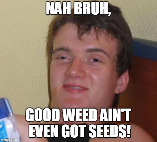 10 Guy Meme | NAH BRUH, GOOD WEED AIN'T EVEN GOT SEEDS! | image tagged in memes,10 guy,stormy daniels | made w/ Imgflip meme maker