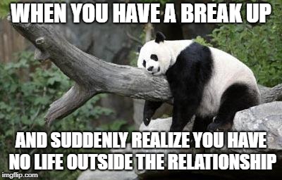 Breakups.. BamBOO-HOO | WHEN YOU HAVE A BREAK UP; AND SUDDENLY REALIZE YOU HAVE NO LIFE OUTSIDE THE RELATIONSHIP | image tagged in lazy panda | made w/ Imgflip meme maker