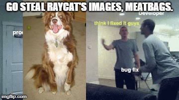 Come on, meatbags. | GO STEAL RAYCAT'S IMAGES, MEATBAGS. | image tagged in chili,chili the border collie,dogs,raycat,stealing,meatbags | made w/ Imgflip meme maker