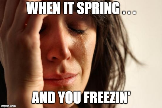 First World Problems | WHEN IT SPRING . . . AND YOU FREEZIN' | image tagged in memes,first world problems | made w/ Imgflip meme maker