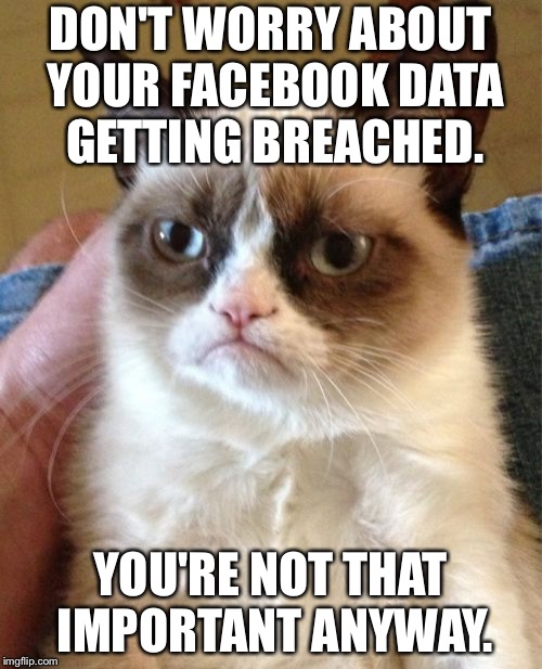 No one stole your Facebook data loser | DON'T WORRY ABOUT YOUR FACEBOOK DATA GETTING BREACHED. YOU'RE NOT THAT IMPORTANT ANYWAY. | image tagged in memes,grumpy cat,facebook,friends,media,internet | made w/ Imgflip meme maker