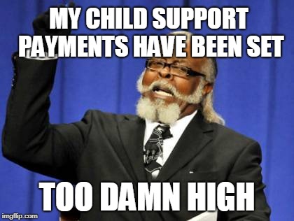 Too Damn High Meme | MY CHILD SUPPORT PAYMENTS HAVE BEEN SET; TOO DAMN HIGH | image tagged in memes,too damn high | made w/ Imgflip meme maker