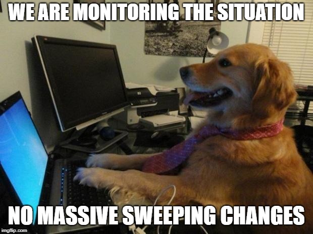 Dog behind a computer | WE ARE MONITORING THE SITUATION; NO MASSIVE SWEEPING CHANGES | image tagged in dog behind a computer | made w/ Imgflip meme maker