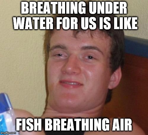 10 Guy Meme | BREATHING UNDER WATER FOR
US IS LIKE; FISH BREATHING AIR | image tagged in memes,10 guy | made w/ Imgflip meme maker