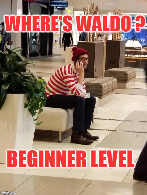 WHERE'S WALDO ? BEGINNER LEVEL | image tagged in where's waldo,easy | made w/ Imgflip meme maker
