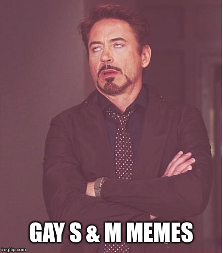 Face You Make Robert Downey Jr Meme | GAY S & M MEMES | image tagged in memes,face you make robert downey jr | made w/ Imgflip meme maker