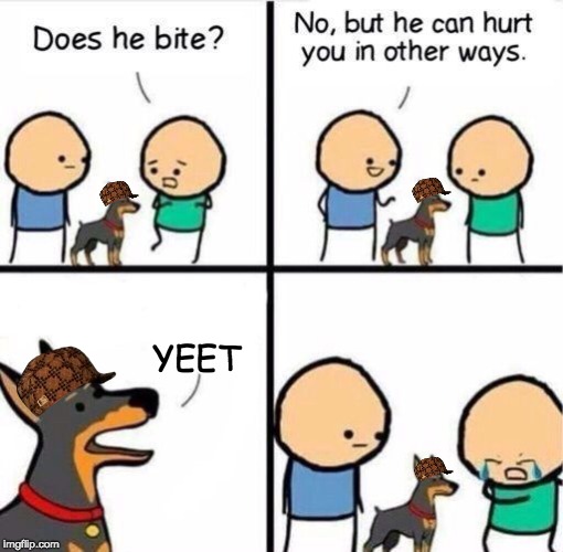 YEET | image tagged in memes | made w/ Imgflip meme maker