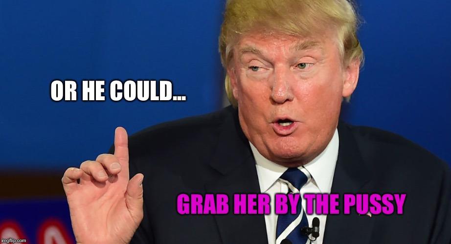 OR HE COULD... GRAB HER BY THE PUSSY | made w/ Imgflip meme maker
