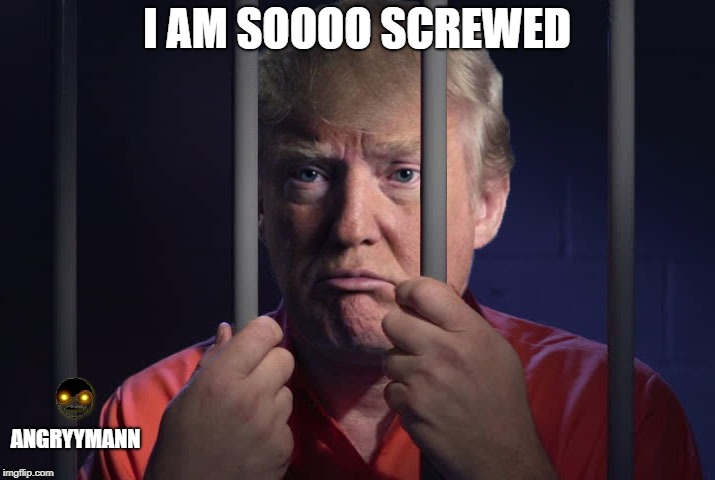 Trump Behind Bars | I AM SOOOO SCREWED; ANGRYYMANN | image tagged in trump behind bars | made w/ Imgflip meme maker