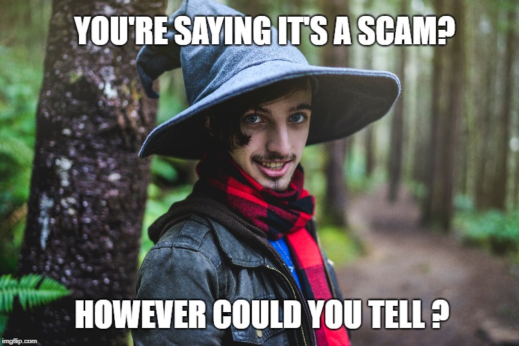 YOU'RE SAYING IT'S A SCAM? HOWEVER COULD YOU TELL ? | made w/ Imgflip meme maker