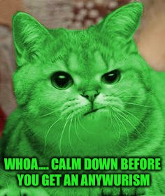 RayCat Annoyed | WHOA.... CALM DOWN BEFORE YOU GET AN ANYWURISM | image tagged in raycat annoyed | made w/ Imgflip meme maker