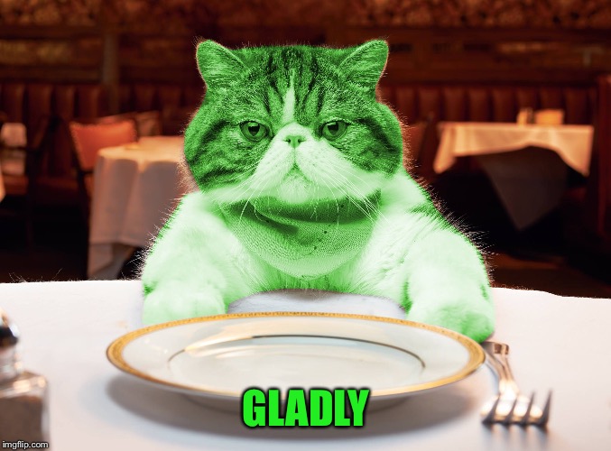 RayCat Hungry | GLADLY | image tagged in raycat hungry | made w/ Imgflip meme maker