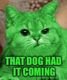 RayCat Annoyed | THAT DOG HAD IT COMING | image tagged in raycat annoyed | made w/ Imgflip meme maker