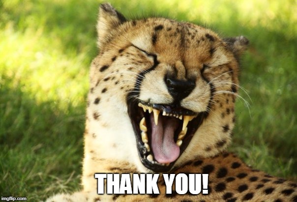 cheetah | THANK YOU! | image tagged in cheetah | made w/ Imgflip meme maker
