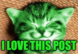 happy RayCat | I LOVE THIS POST | image tagged in happy raycat | made w/ Imgflip meme maker