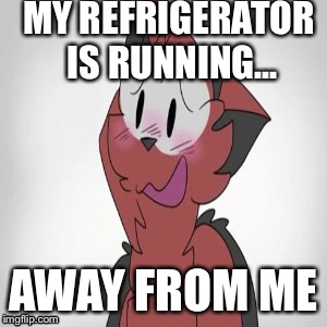 Imp | MY REFRIGERATOR IS RUNNING... AWAY FROM ME | image tagged in twelve,lonely | made w/ Imgflip meme maker