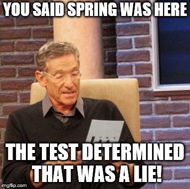 Spring lie | YOU SAID SPRING WAS HERE; THE TEST DETERMINED THAT WAS A LIE! | image tagged in memes,maury lie detector,spring,weather meme,still winter,sick of cold | made w/ Imgflip meme maker