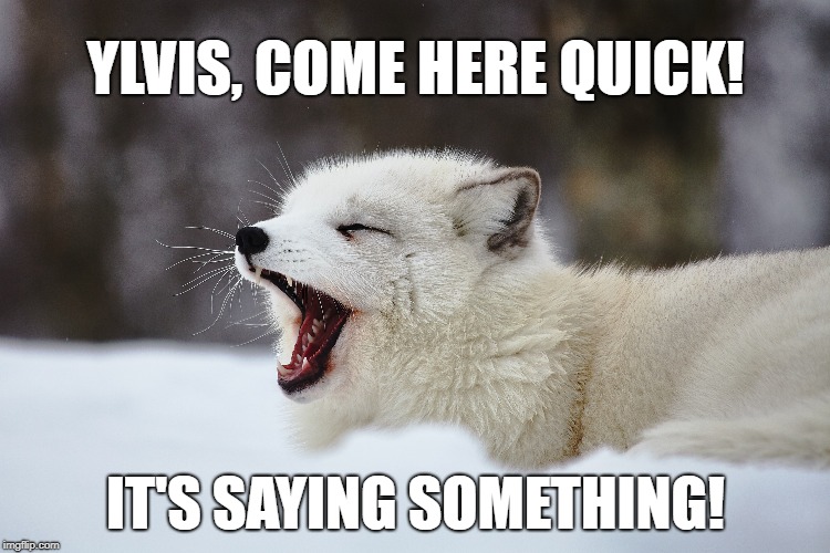 YLVIS, COME HERE QUICK! IT'S SAYING SOMETHING! | made w/ Imgflip meme maker