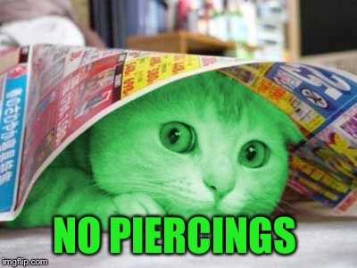 RayCat Scared | NO PIERCINGS | image tagged in raycat scared | made w/ Imgflip meme maker