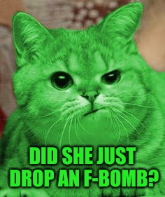 RayCat Annoyed | DID SHE JUST DROP AN F-BOMB? | image tagged in raycat annoyed | made w/ Imgflip meme maker