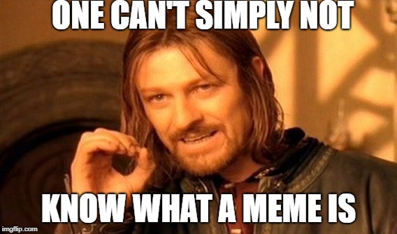 One Does Not Simply Meme | ONE CAN'T SIMPLY NOT; KNOW WHAT A MEME IS | image tagged in memes,one does not simply | made w/ Imgflip meme maker