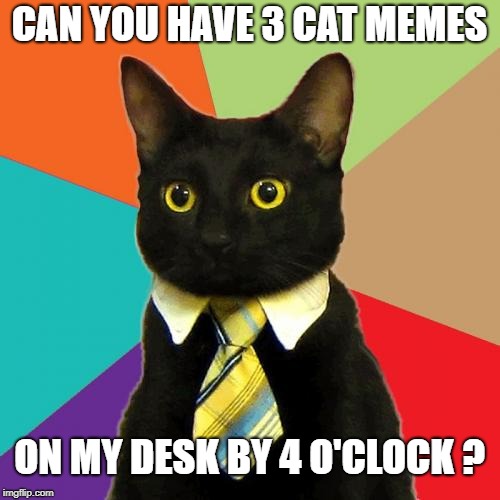 CAN YOU HAVE 3 CAT MEMES ON MY DESK BY 4 O'CLOCK ? | made w/ Imgflip meme maker