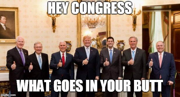 Thumbs Up Congress | HEY CONGRESS; WHAT GOES IN YOUR BUTT | image tagged in congress,donald trump,trump,president trump,paul ryan | made w/ Imgflip meme maker