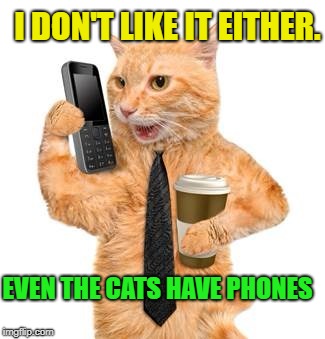 I DON'T LIKE IT EITHER. EVEN THE CATS HAVE PHONES | made w/ Imgflip meme maker