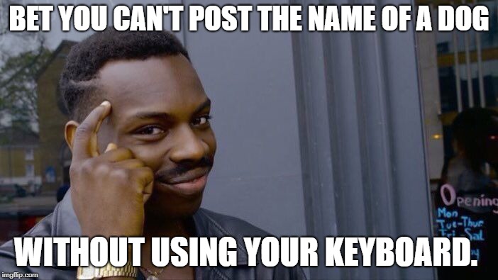 Roll Safe Think About It | BET YOU CAN'T POST THE NAME OF A DOG; WITHOUT USING YOUR KEYBOARD. | image tagged in memes,roll safe think about it | made w/ Imgflip meme maker