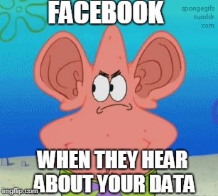 Patrick Ears | FACEBOOK; WHEN THEY HEAR ABOUT YOUR DATA | image tagged in patrick ears | made w/ Imgflip meme maker