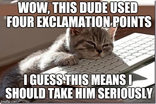 Someone is trying to argue | WOW, THIS DUDE USED FOUR EXCLAMATION POINTS; I GUESS THIS MEANS I SHOULD TAKE HIM SERIOUSLY | image tagged in bored keyboard cat,troll,edgy,shouting,flame war,arguing | made w/ Imgflip meme maker