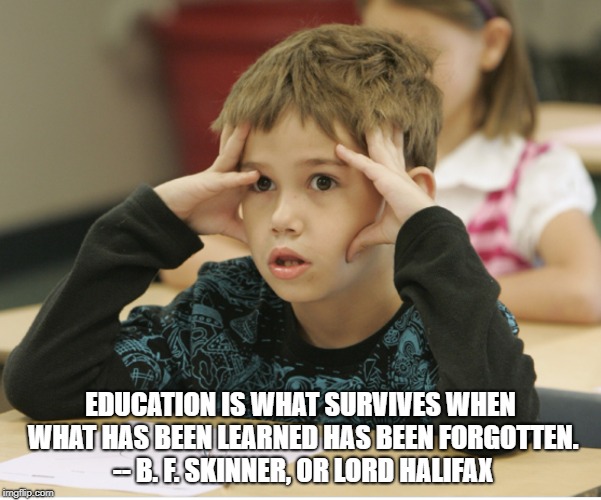 http://educational-alternatives.net/welcome/wp-content/uploads/2 | EDUCATION IS WHAT SURVIVES WHEN WHAT HAS BEEN LEARNED HAS BEEN FORGOTTEN. -- B. F. SKINNER, OR LORD HALIFAX | image tagged in http//educational-alternativesnet/welcome/wp-content/uploads/2 | made w/ Imgflip meme maker