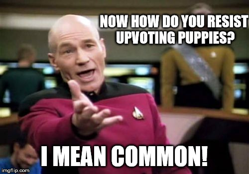 Picard Wtf Meme | NOW HOW DO YOU RESIST UPVOTING PUPPIES? I MEAN COMMON! | image tagged in memes,picard wtf | made w/ Imgflip meme maker
