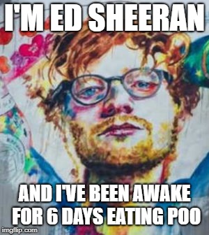 Property taxes paid for this mural to be painted in a public space in Dunedin New Zealand | I'M ED SHEERAN; AND I'VE BEEN AWAKE FOR 6 DAYS EATING POO | image tagged in dunedin nz,ed sheeran,new zealand | made w/ Imgflip meme maker