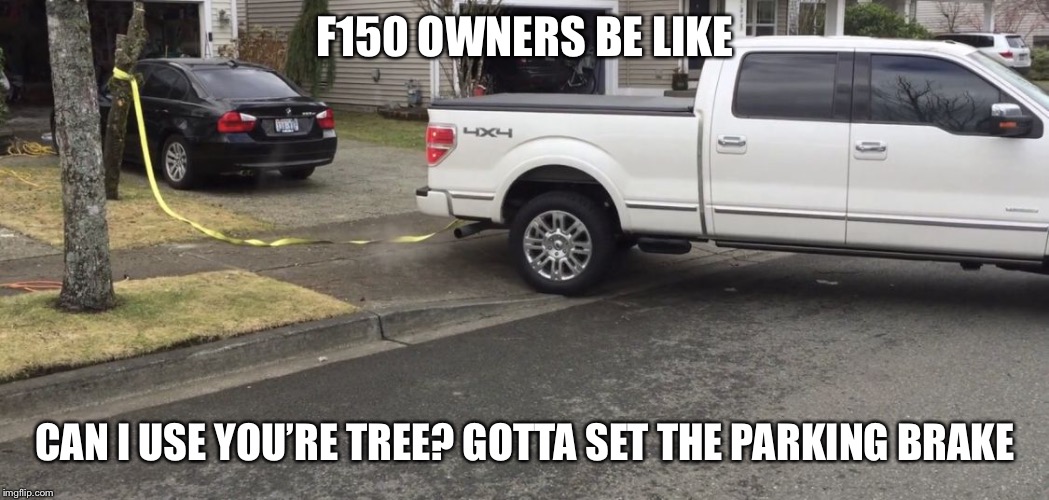 F150 OWNERS BE LIKE; CAN I USE YOU’RE TREE? GOTTA SET THE PARKING BRAKE | image tagged in bling_bling | made w/ Imgflip meme maker